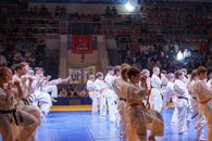 Депутаты-коммунисты помогли провести юношеский турнир Юга России по карате