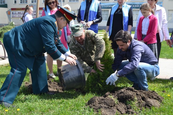 В станице Северской по инициативе депутата-коммуниста высажена новая хвойная аллея
