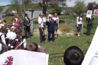 В Мостовском районе живет пионерская организация