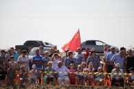 Станица Выселки: красный флаг на скачках