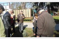 Красный День календаря в городе Гулькевичи