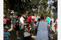 Кубанские комсомольцы продолжили свой социальный проект