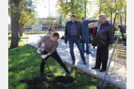В Армавире коммунисты в честь 100-летия комсомола заложили кленовую аллею