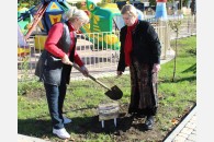 В Армавире коммунисты в честь 100-летия комсомола заложили кленовую аллею