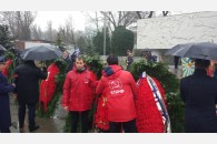 День Красной Армии в Краснодарском крае. Краткий обзор