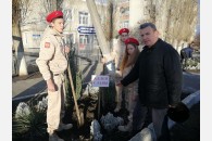 В станице Каневской продолжилась акция «Аллея памяти»