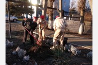 В станице Каневской продолжилась акция «Аллея памяти»