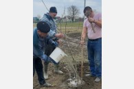 В Крымском районе началась акция КПРФ «Сад Победы»