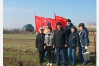 Станица Новощербиновская. По инициативе активистов КПРФ заложена новая аллея