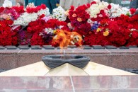 Краснодар. Активисты КПРФ отметили юбилейный День Победы