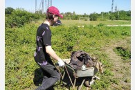 В поселке Афипском работает комсомольский колхоз