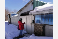 В городах и станицах Кубани продолжается активная агитационная работа КПРФ