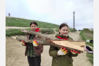 В Краснодарском крае отметили Красный Первомай. Краткий обзор